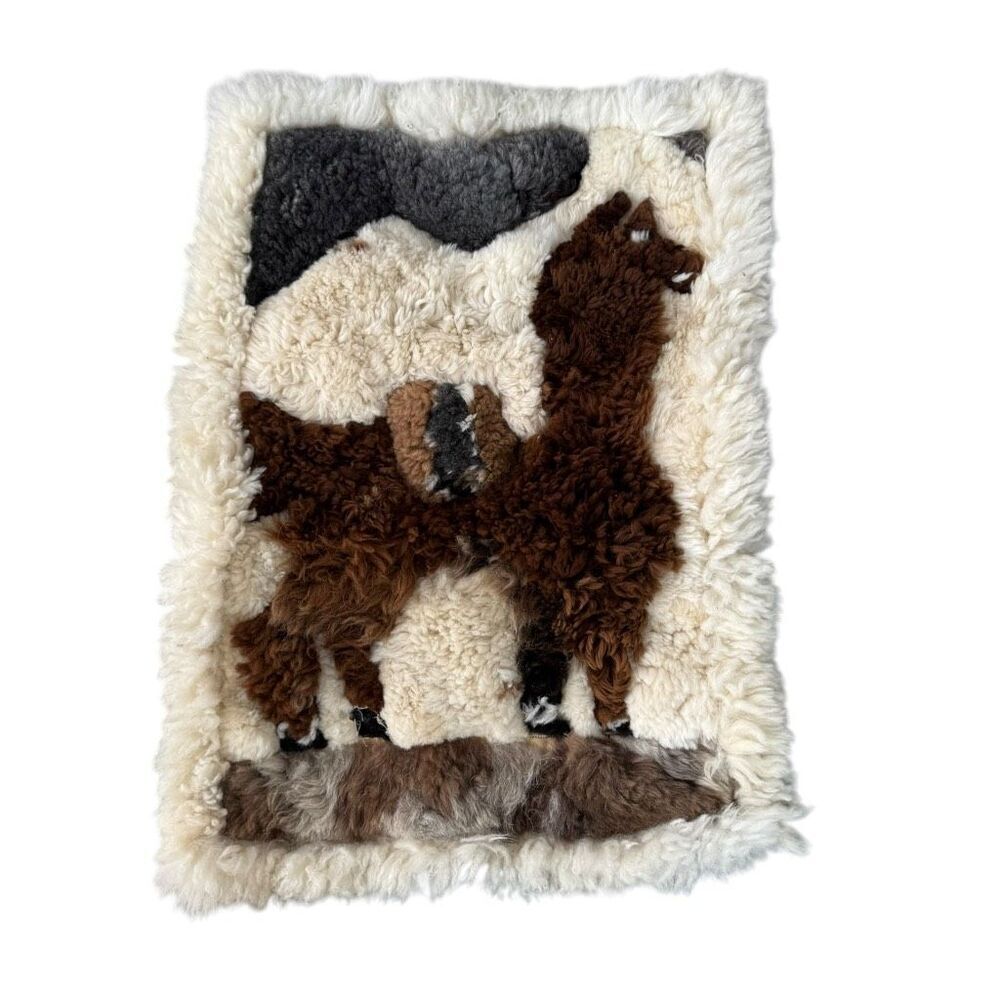 Vintage Peruvian Alpaca Wool Large Tapestry Rug/Hanging Wall Art, 22x32”